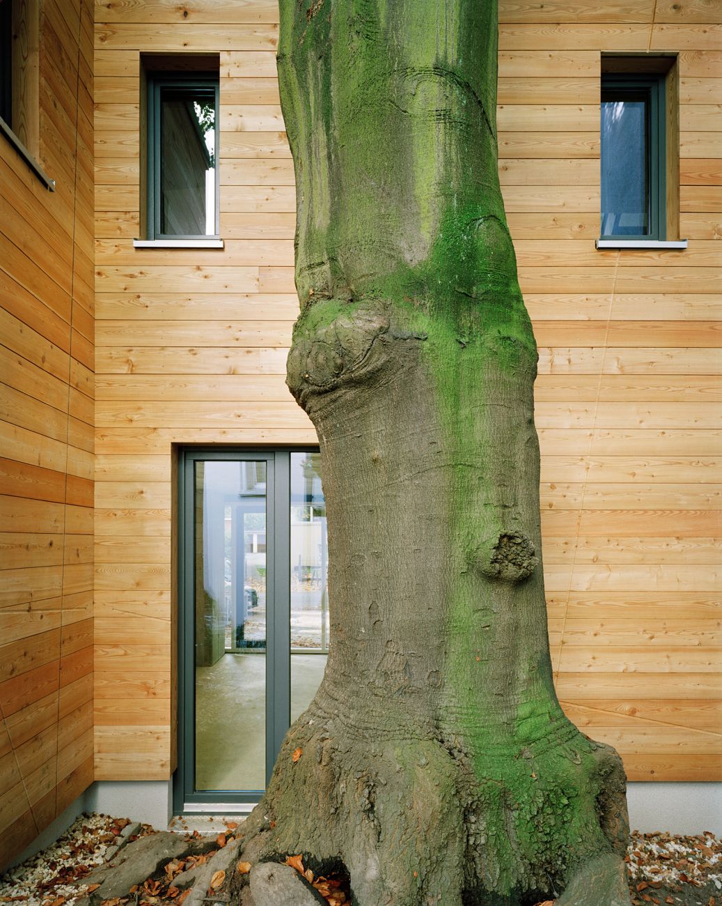 Haus Ott Hamburg zweitraum büro für architektur, Bernadottestraße Hamburg, Architekturfotografie Hamburg, Fotografie Dorfmüller Klier 